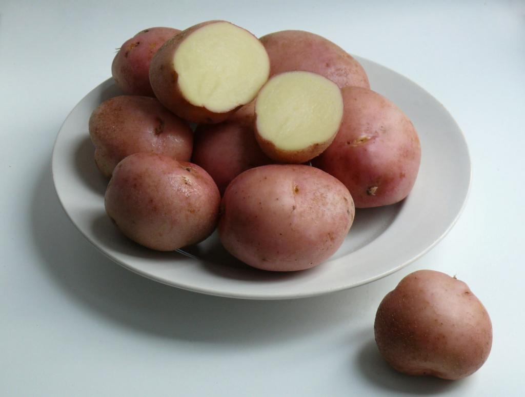 Batatas romanas - descrição da variedade