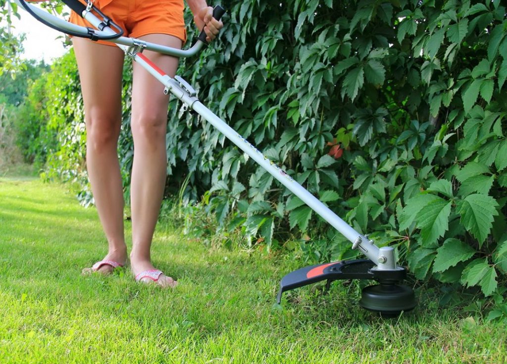 Klipping av plenen om høsten