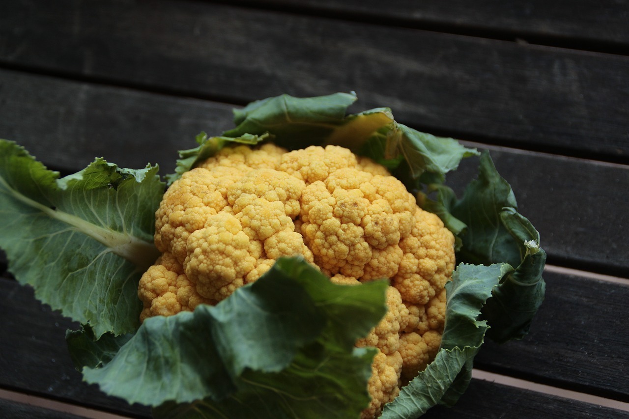 Blumenkohl: die besten Sorten für verschiedene Regionen, zuverlässige Saatgutproduzenten