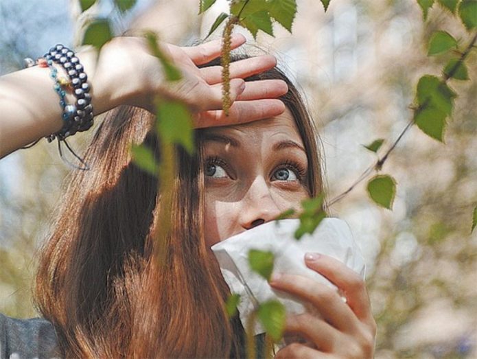 Alergie na pyl břízy je známkou možného poškození tohoto nápoje