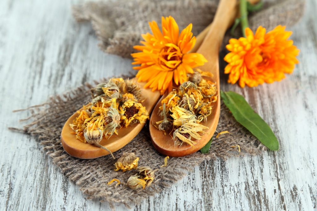 Levend en droog calendulabloemen en houten lepels